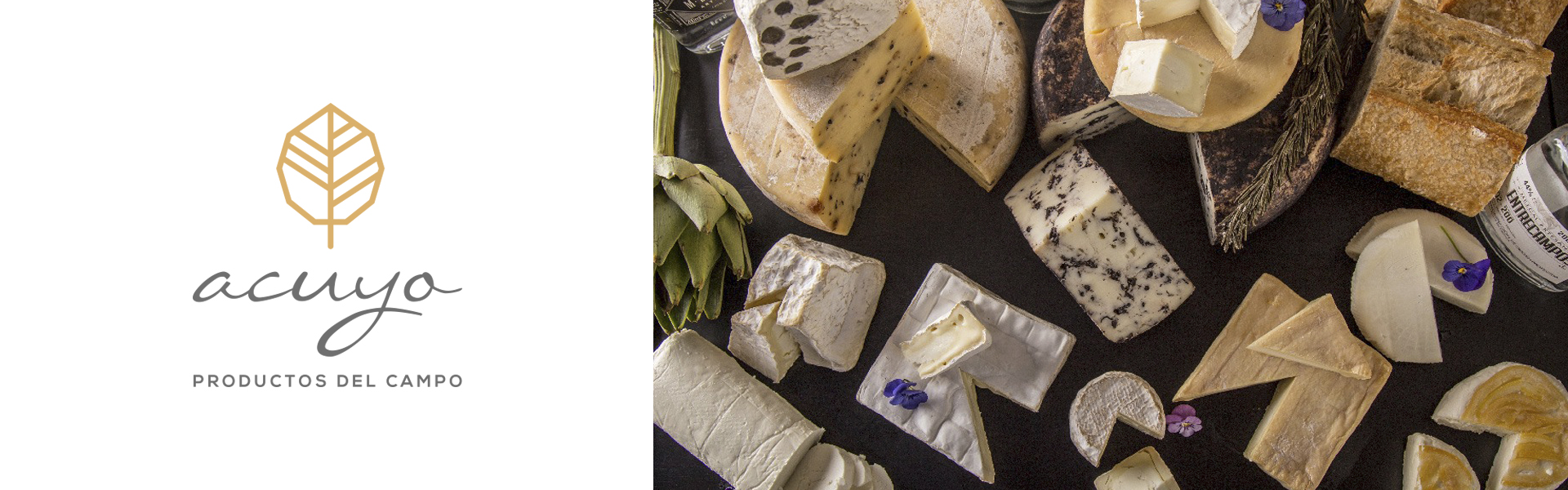 Acuyo_1_logotipo_A